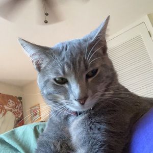 Meet your Posher, Mary elizabeth